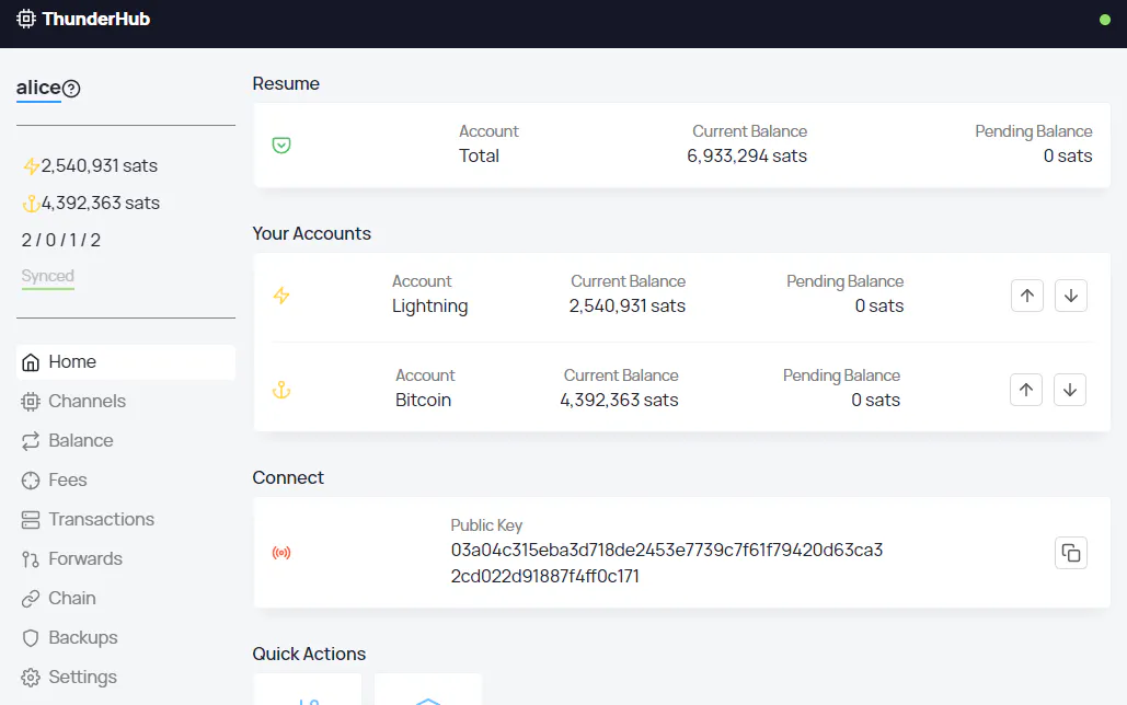 Pàgina d'inici de ThunderHub